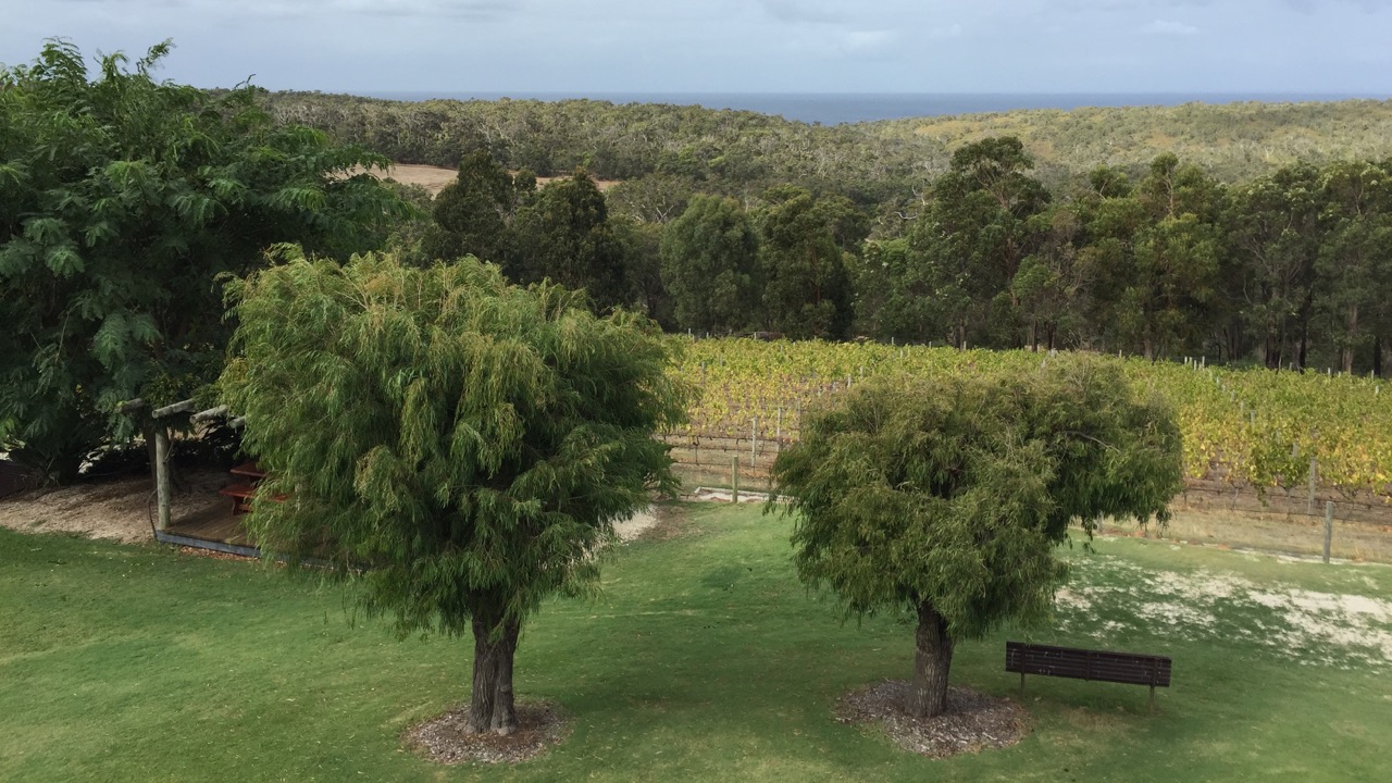 2015-03-18 3 Wise Wine Winery_1