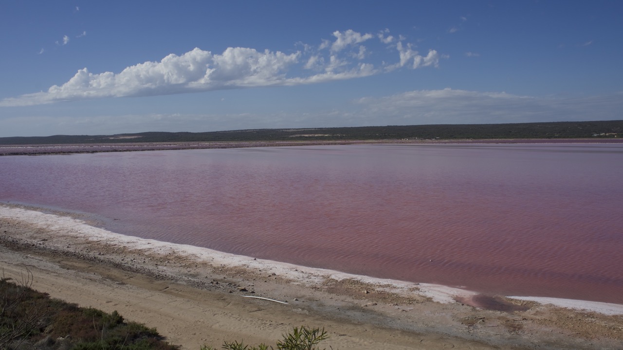 2015-03-24 2 Port Gregory_Pink Lake_1